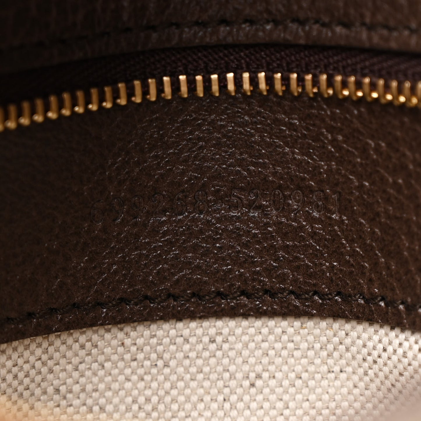 GG Supreme Monogram Textured Dollar Calfskin Blondie Chain Shoulder Flap Bag Beige Ebony New Acero