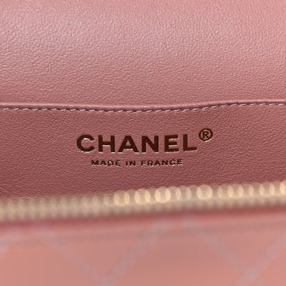 Chanel Lambskin Flat Quilted Knock On Wood Large Vanity Case Beige 6 of 9