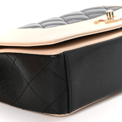 Chanel Sheepskin Quilted Medium Vintage Mademoiselle Flap Beige Black 9 of 12