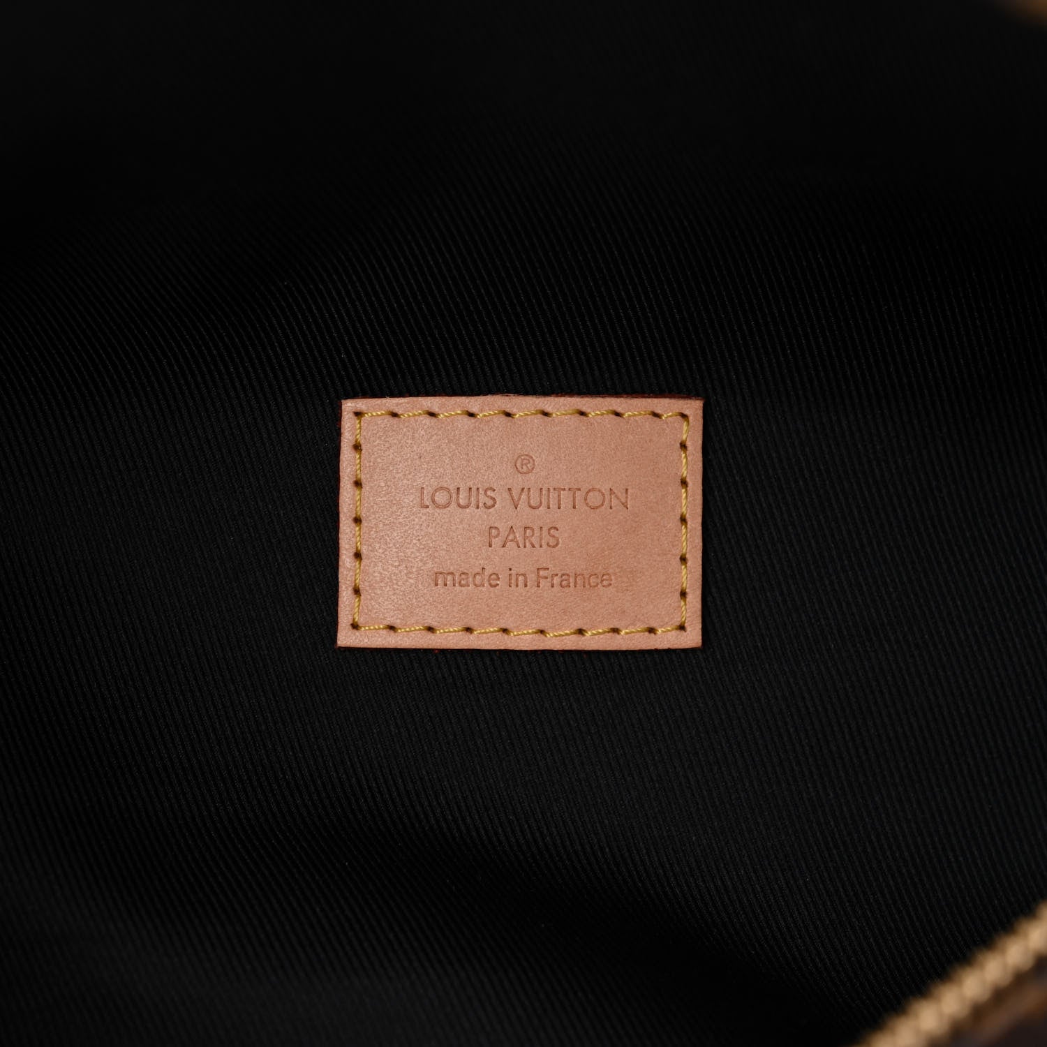 Louis Vuitton Monogram Bumbag 6 of 9