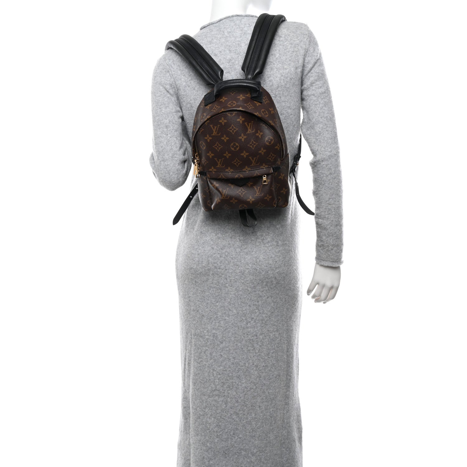 Louis Vuitton Monogram Palm Springs Backpack PM 2 of 14