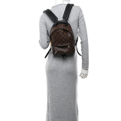 Louis Vuitton Monogram Palm Springs Backpack PM 2 of 14