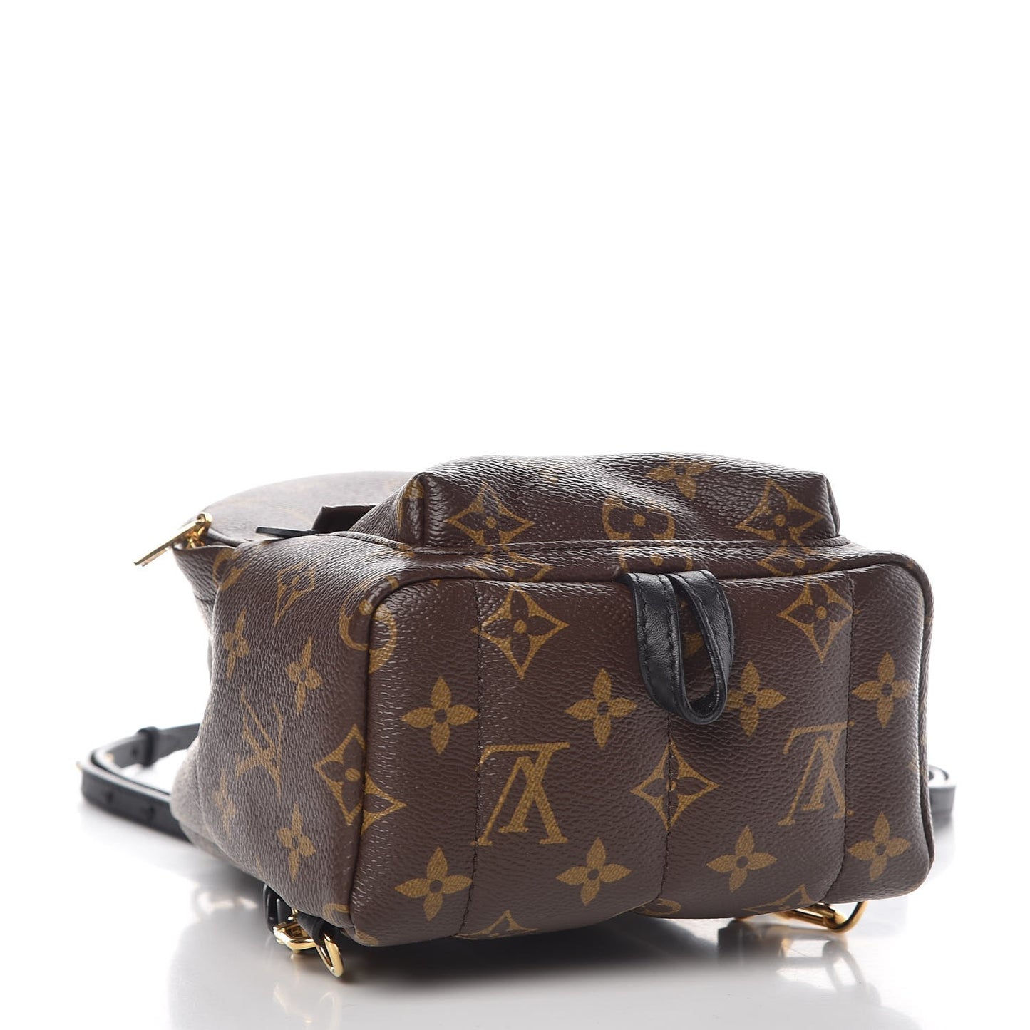 Monogram Palm Springs Backpack Mini