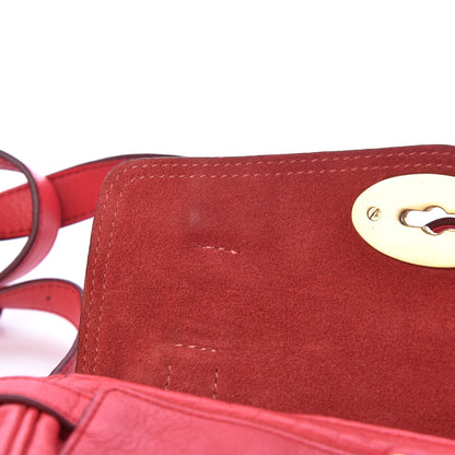 Mulberry Soft Buffalo Mini Alexa Watermelon 10 of 15