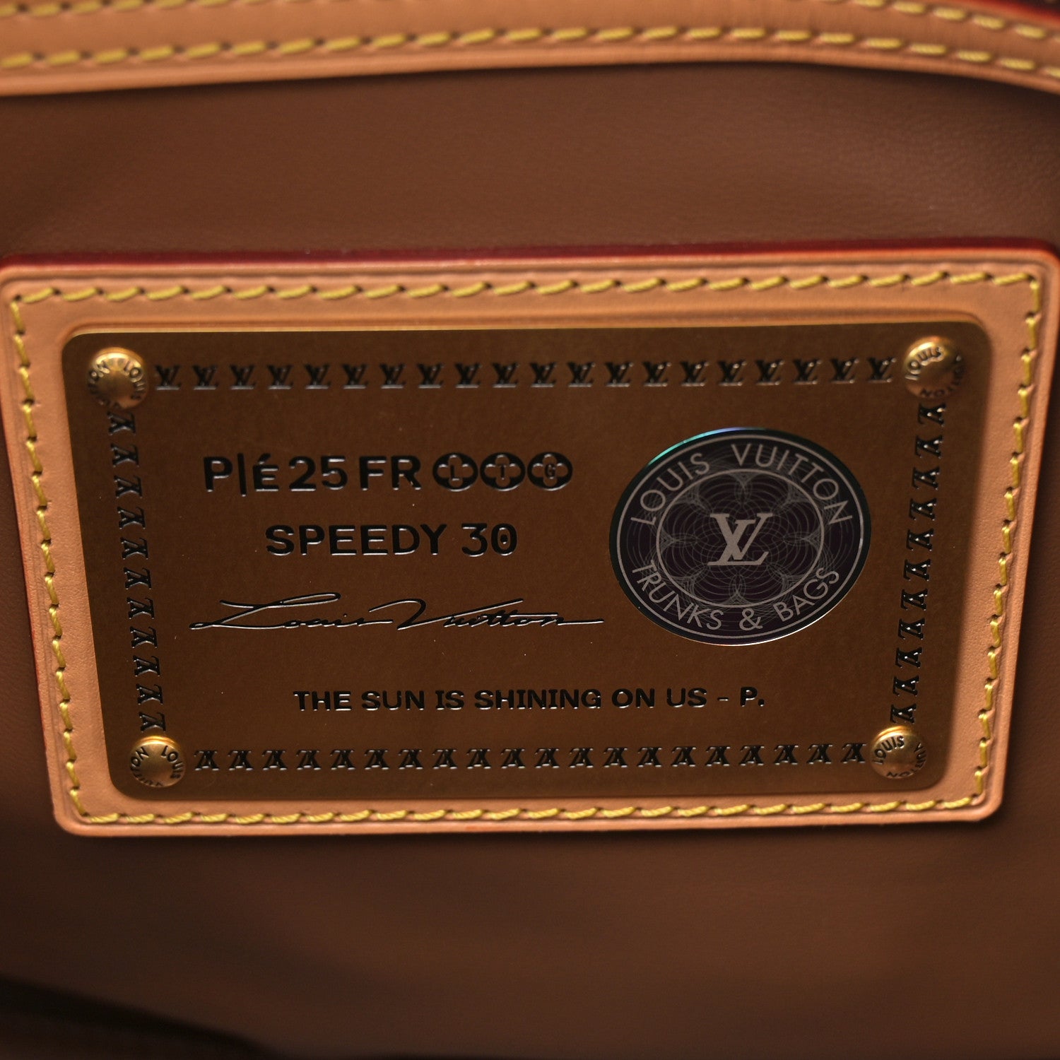 n*P様 Louis Vuitton Louis Vuitton Calfskin Monogram Speedy P9 Bandouliere 30 Frozen