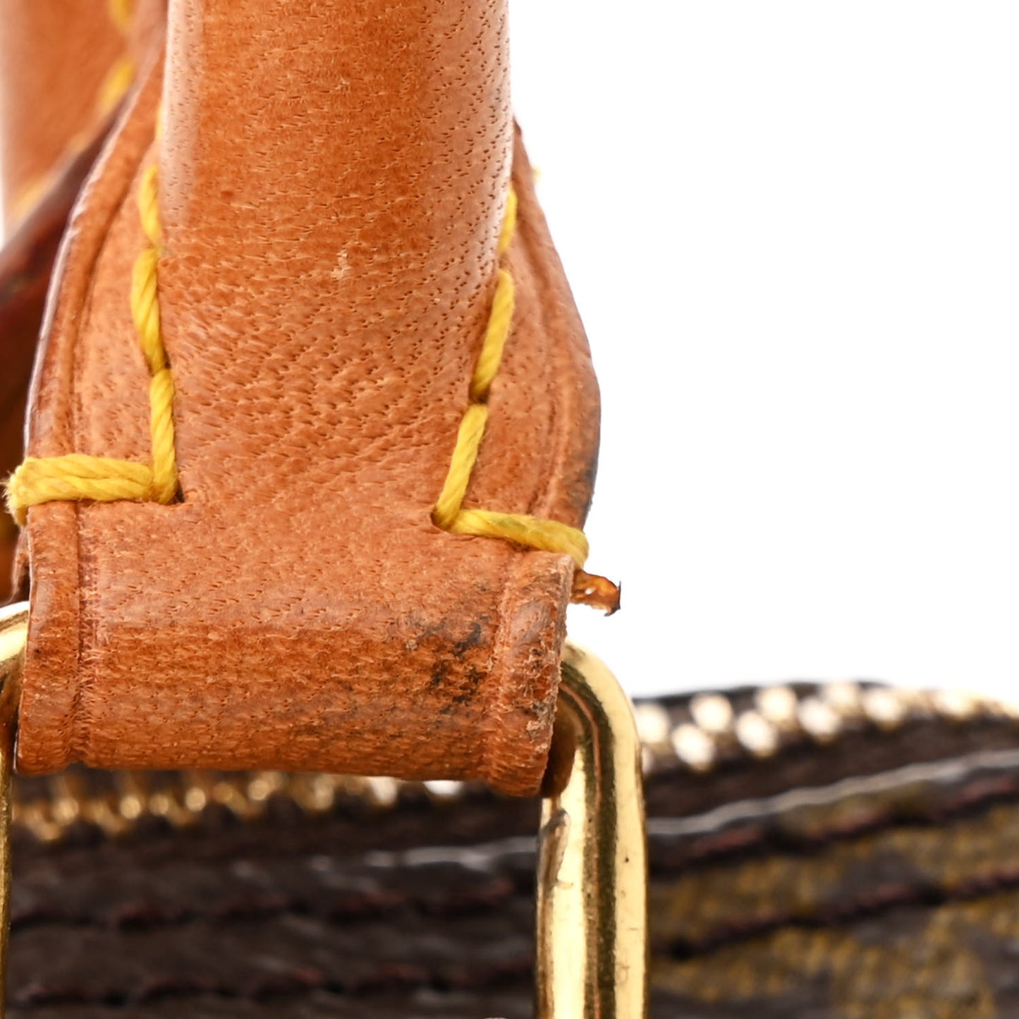 Monogram Mini Sac HL Speedy