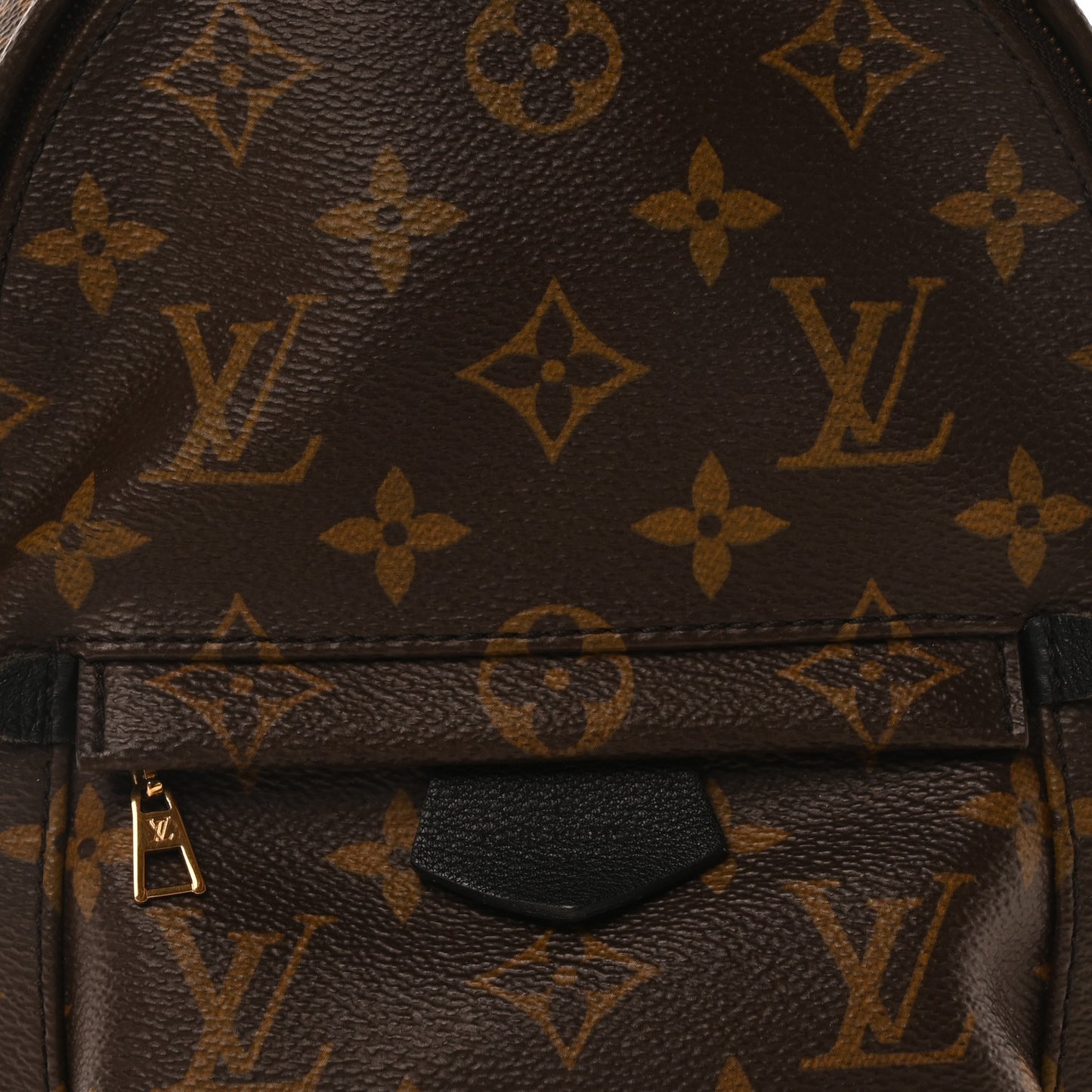 Monogram Palm Springs Backpack Mini