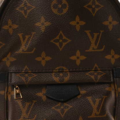 Louis Vuitton Monogram Palm Springs Backpack Mini 7 of 9