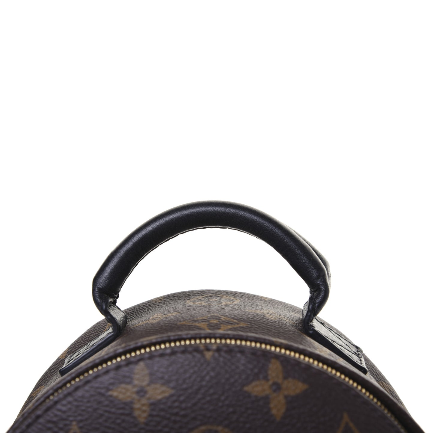 Monogram Palm Springs Backpack Mini