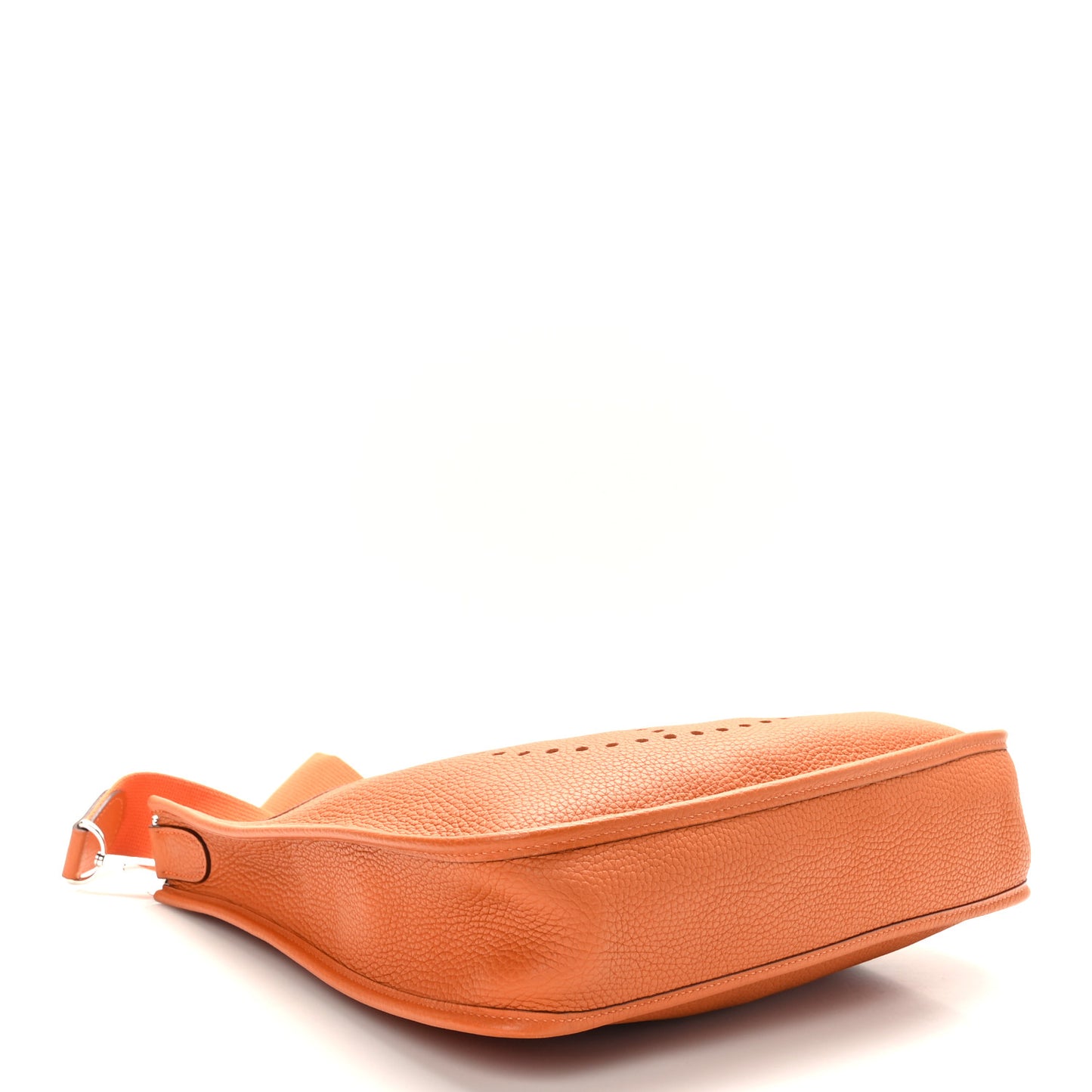 Taurillon Clemence Evelyne PM Orange