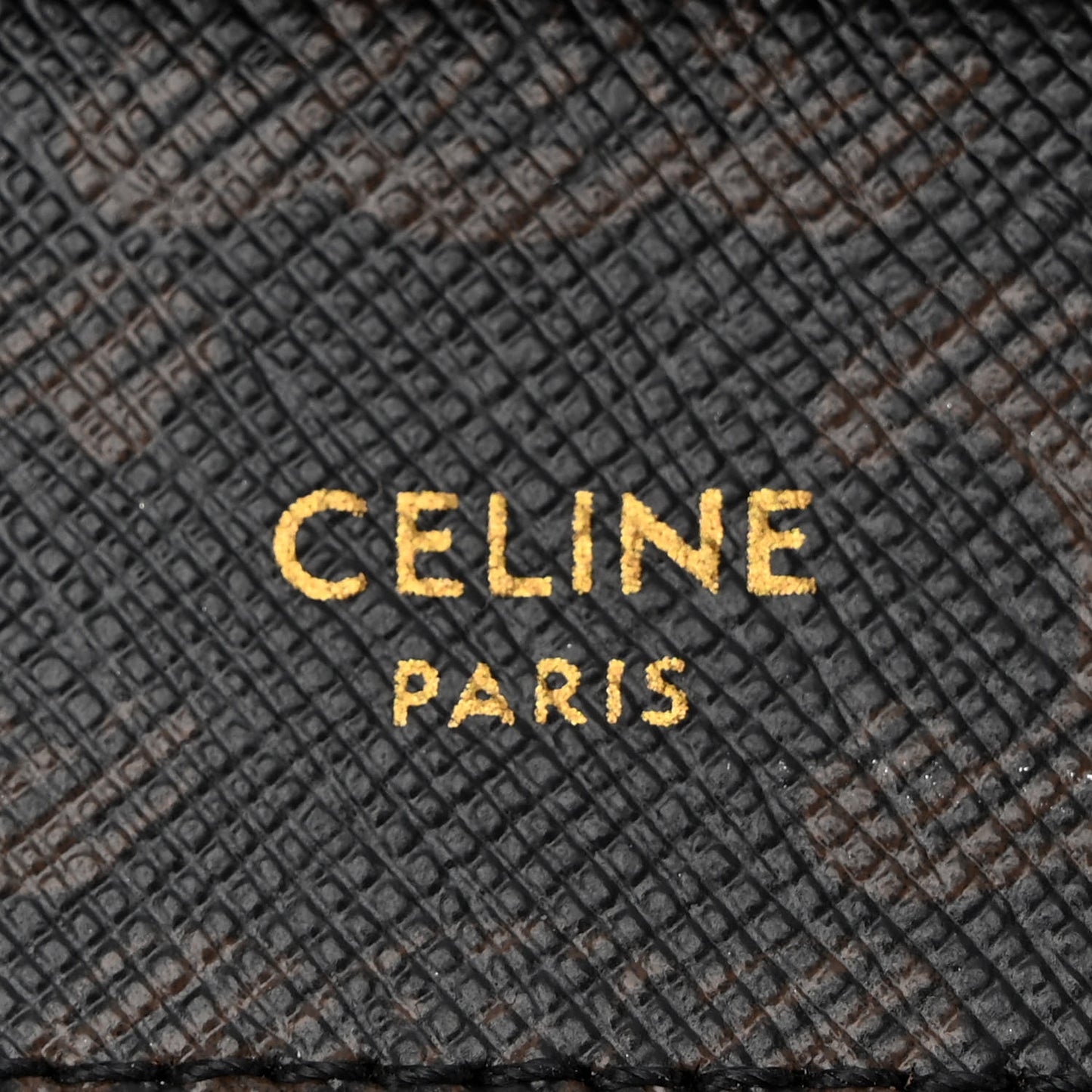 Triomphe Canvas Lambskin Wallet On Strap Tan
