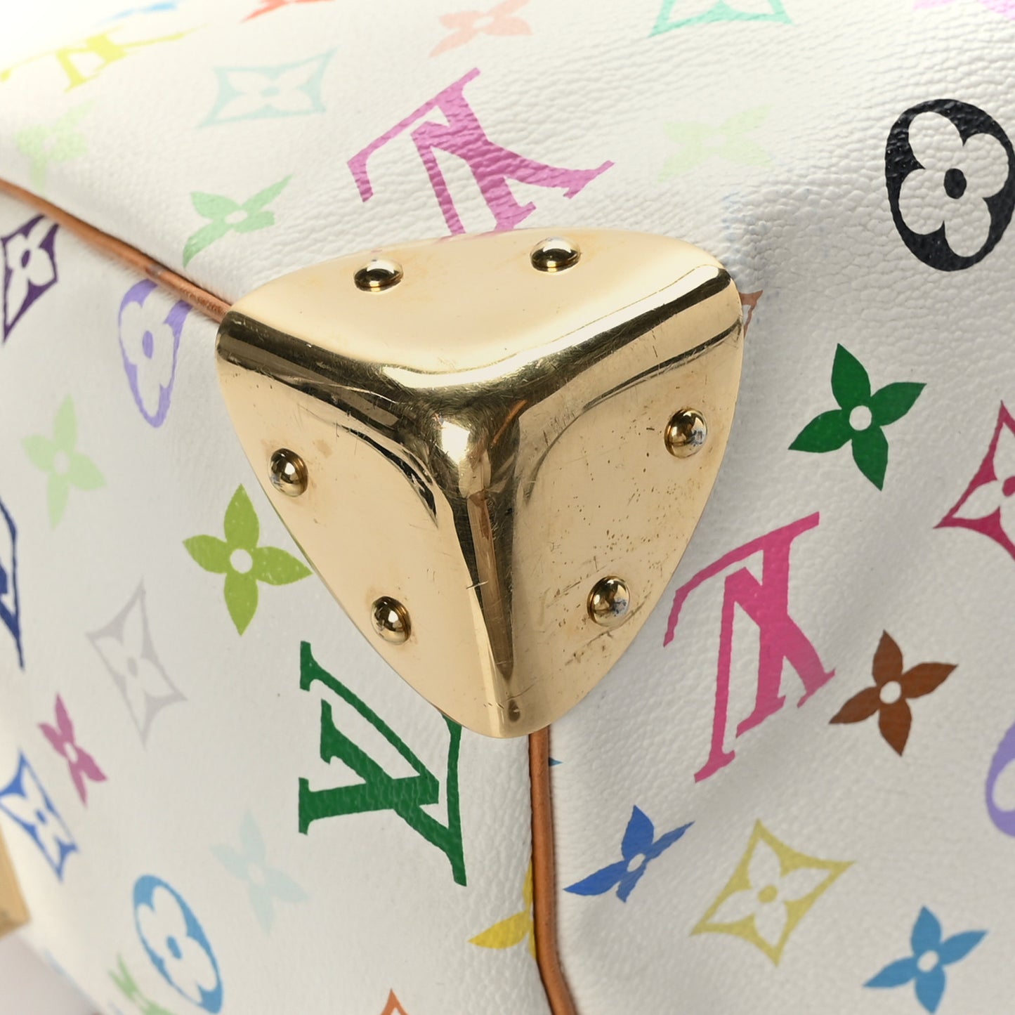 Monogram Multicolor Speedy 30 White