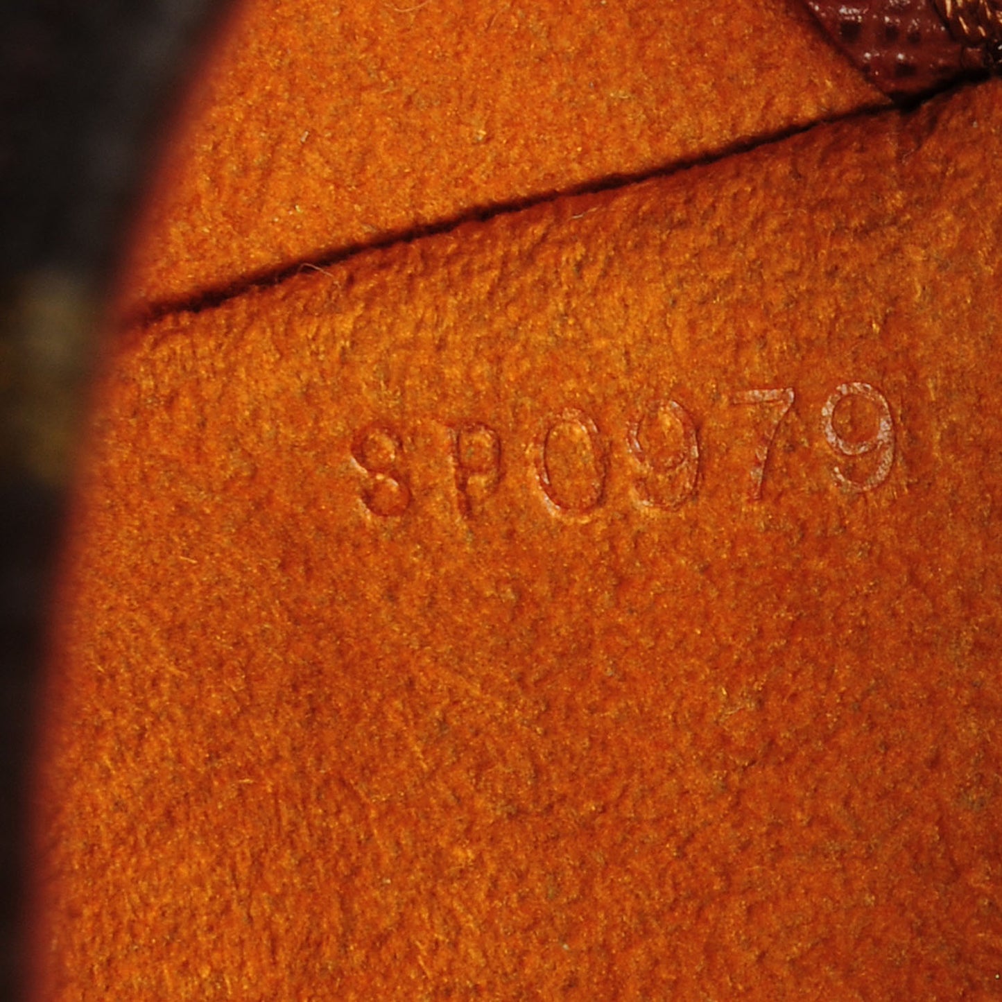 Monogram Musette Tango