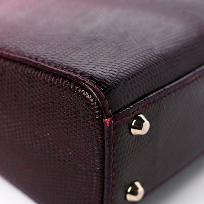 Christian Dior Lizard Gradient Mini Lady Dior Red 11 of 15