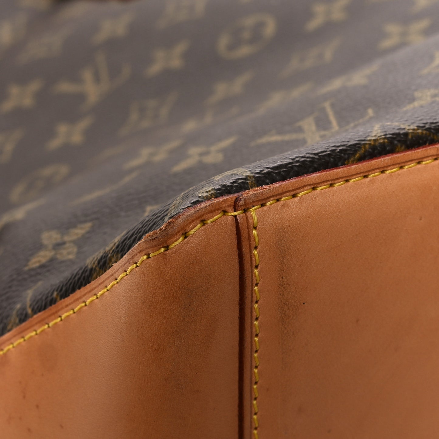 Monogram Cabas Mezzo