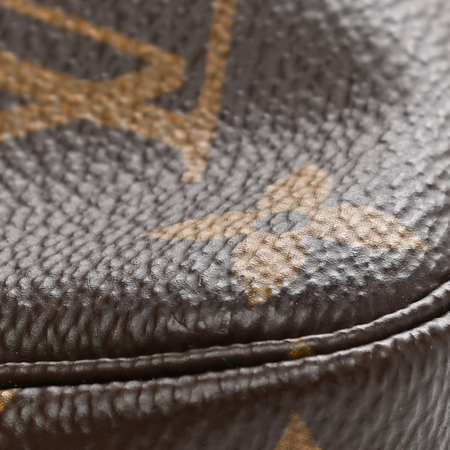 Monogram Mini Pochette Accessories