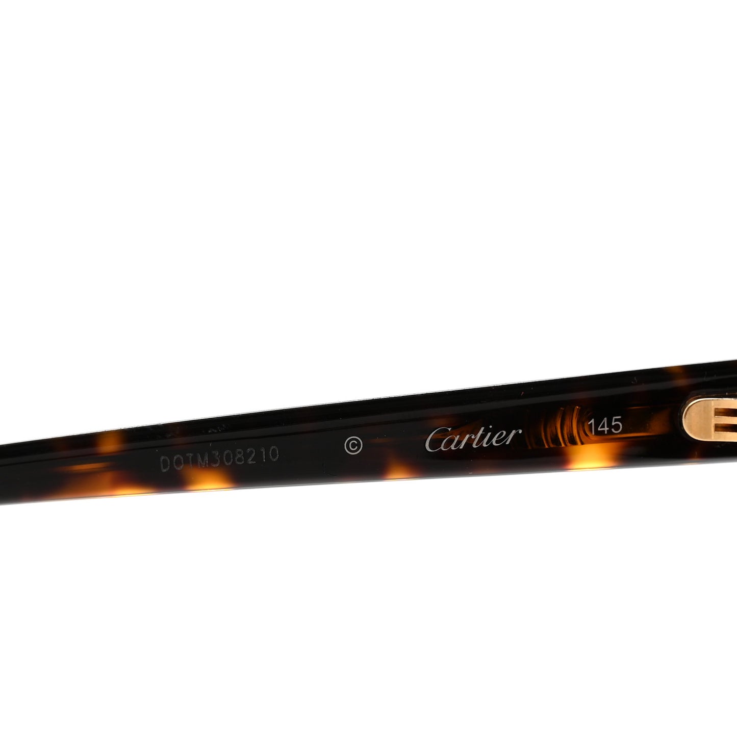 Acetate CT0002S Rectangular Sunglasses Brown