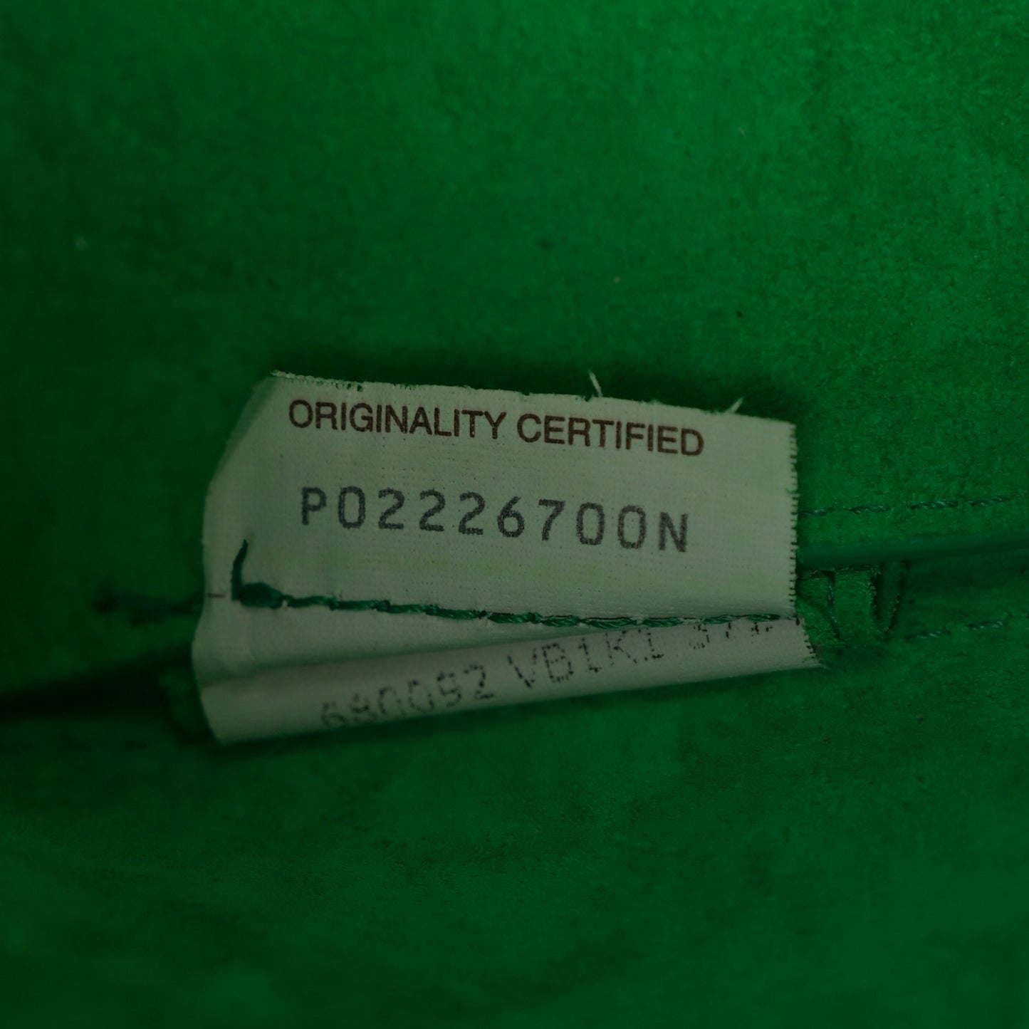 Calfskin Maxi Intrecciato Arco Backpack Parakeet