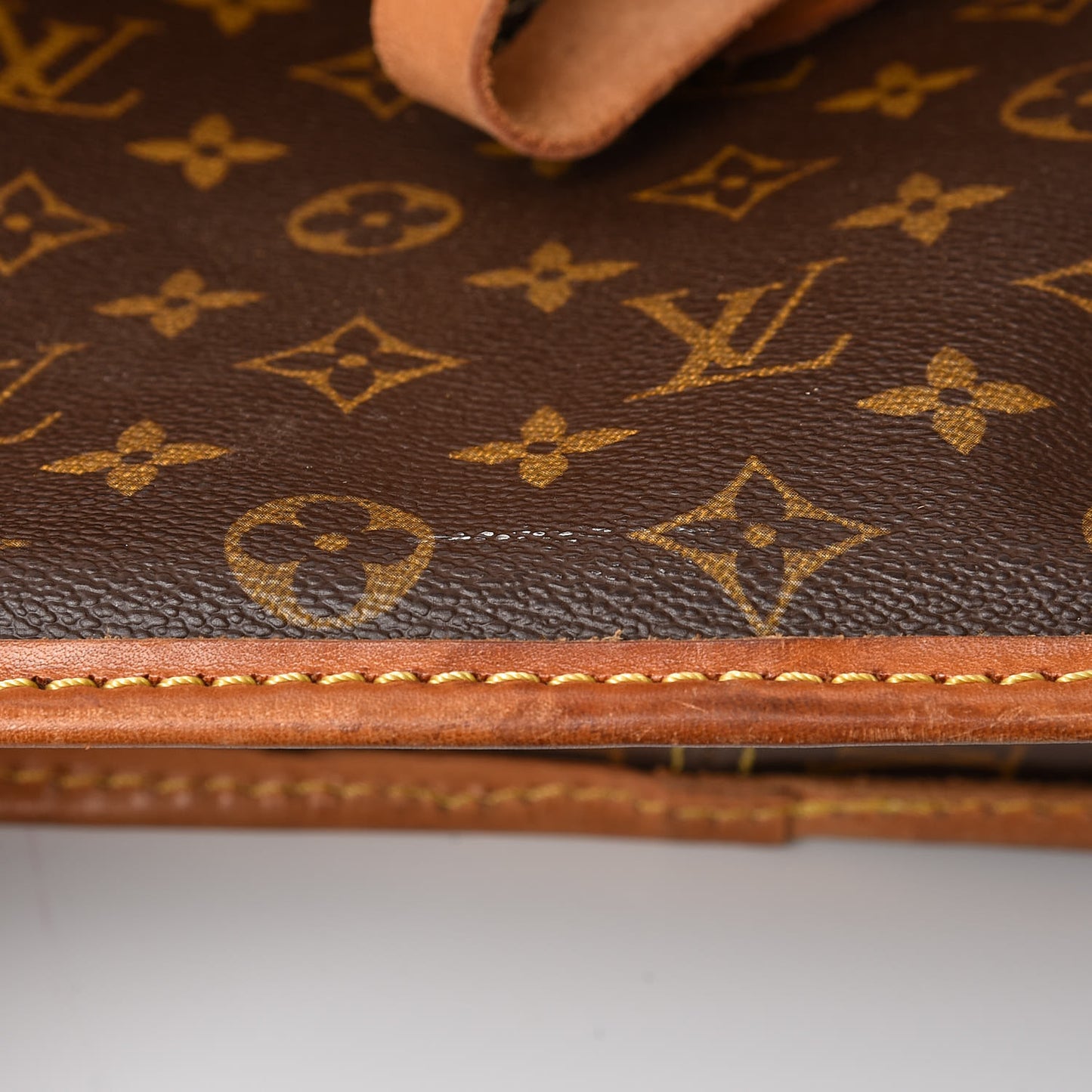 Monogram Portable Garment Bag