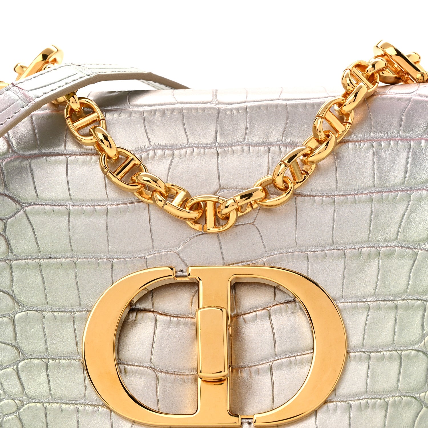 Christian Dior Metallic Alligator Small Caro Bag Multicolor 8 of 11