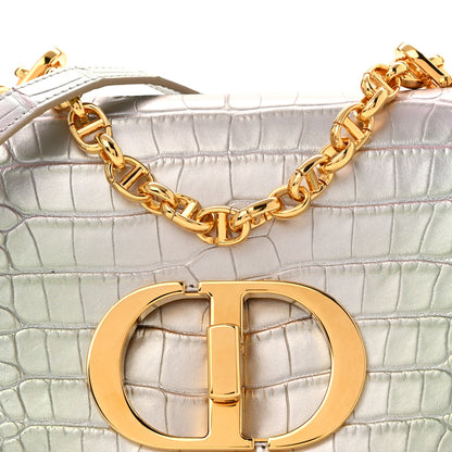 Christian Dior Metallic Alligator Small Caro Bag Multicolor 8 of 11