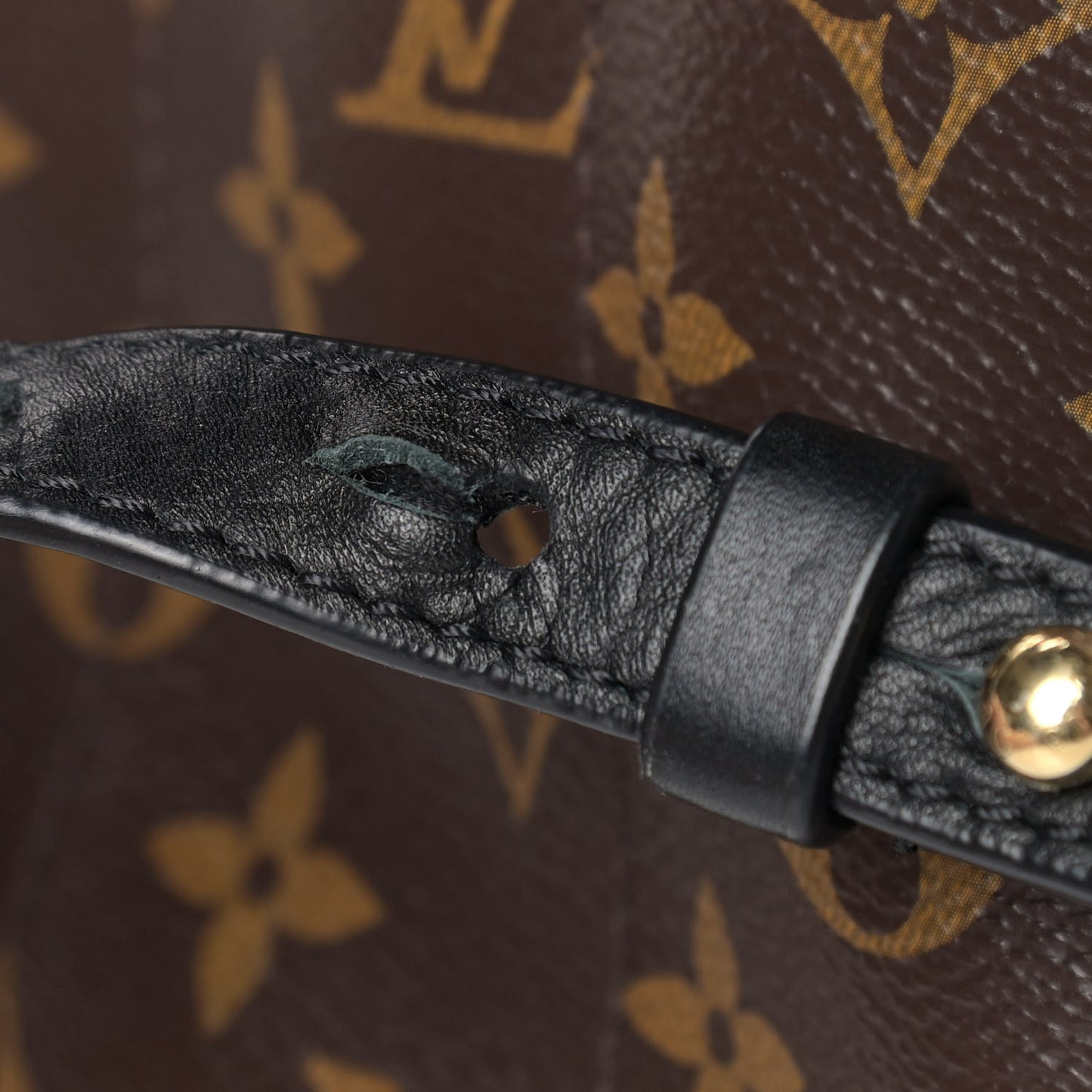 Monogram Palm Springs Backpack MM