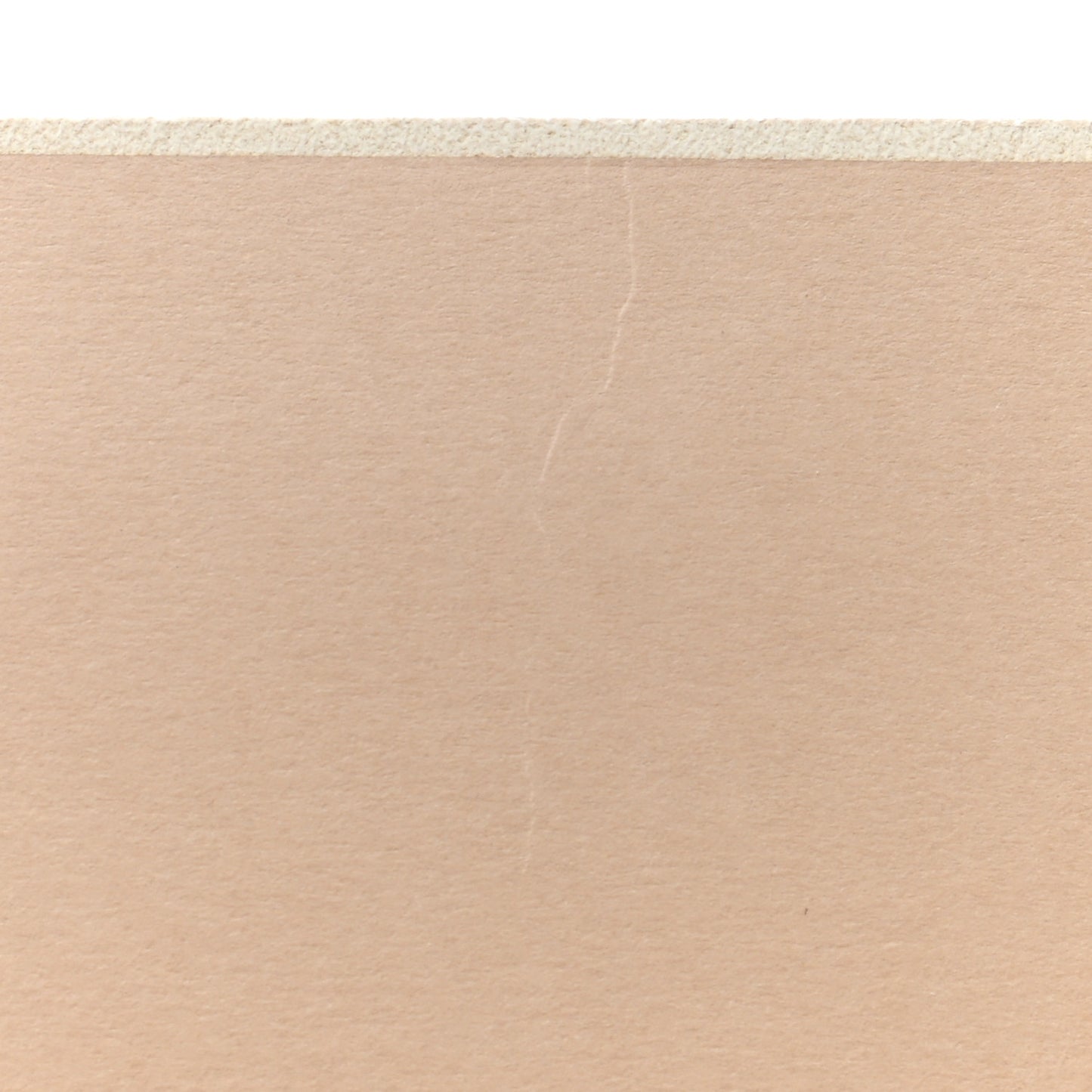 Damier Azur Flower Gustave Notebook