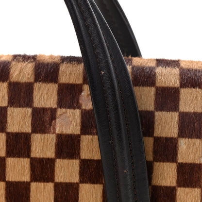 Louis Vuitton Damier Calf Hair Sauvage Lionne 8 of 14