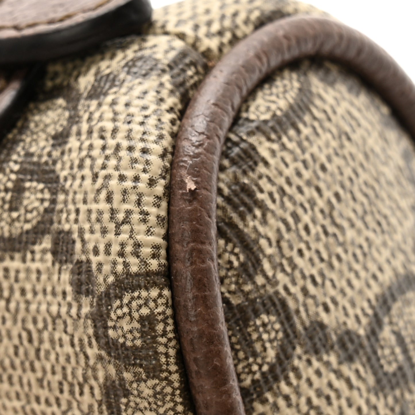 GG Supreme Monogram Web Ophidia Dome Key Pouch Beige New Acero