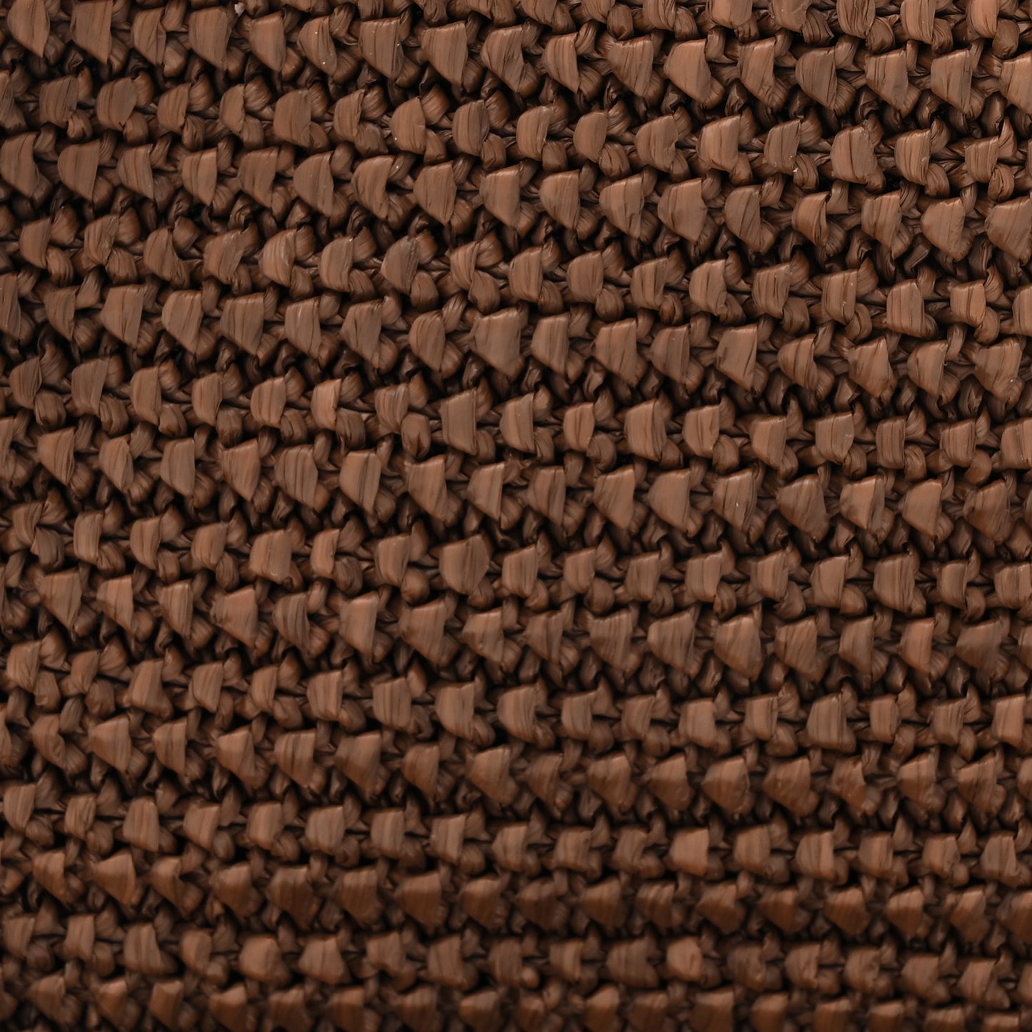 Raffia Canvas Monogram Lou Camera Bag Dark Chocolate