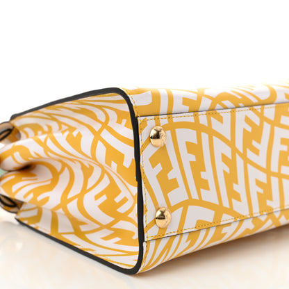 Fendi X SARAH COLEMAN Vitello Liberty Shiny Nappa Plexiglass FF Vertigo Mini Peekaboo Iconic Satchel Mimosa White 10 of 12