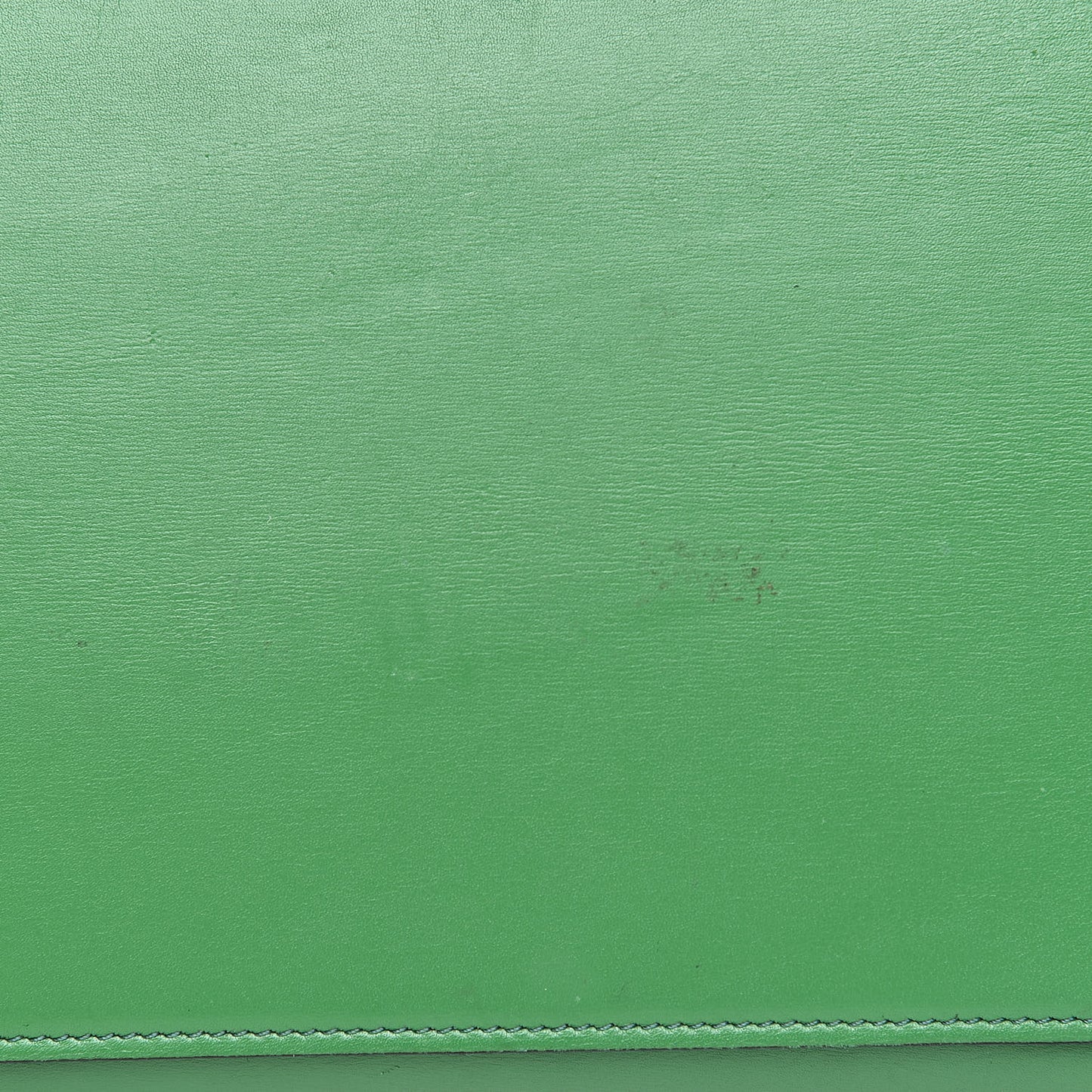 Palmelato Mini Luggage Grass Green