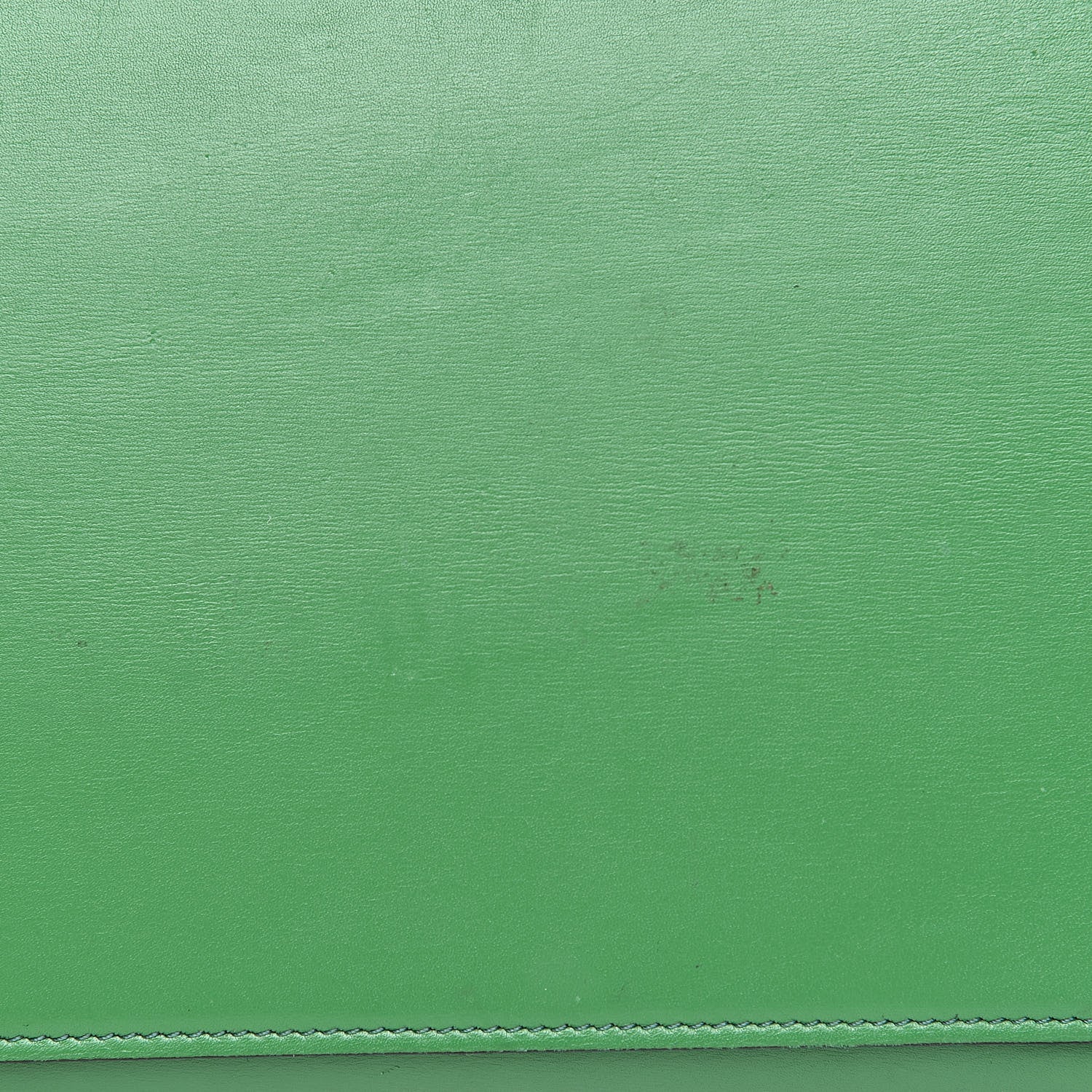 Celine Palmelato Mini Luggage Grass Green 12 of 18