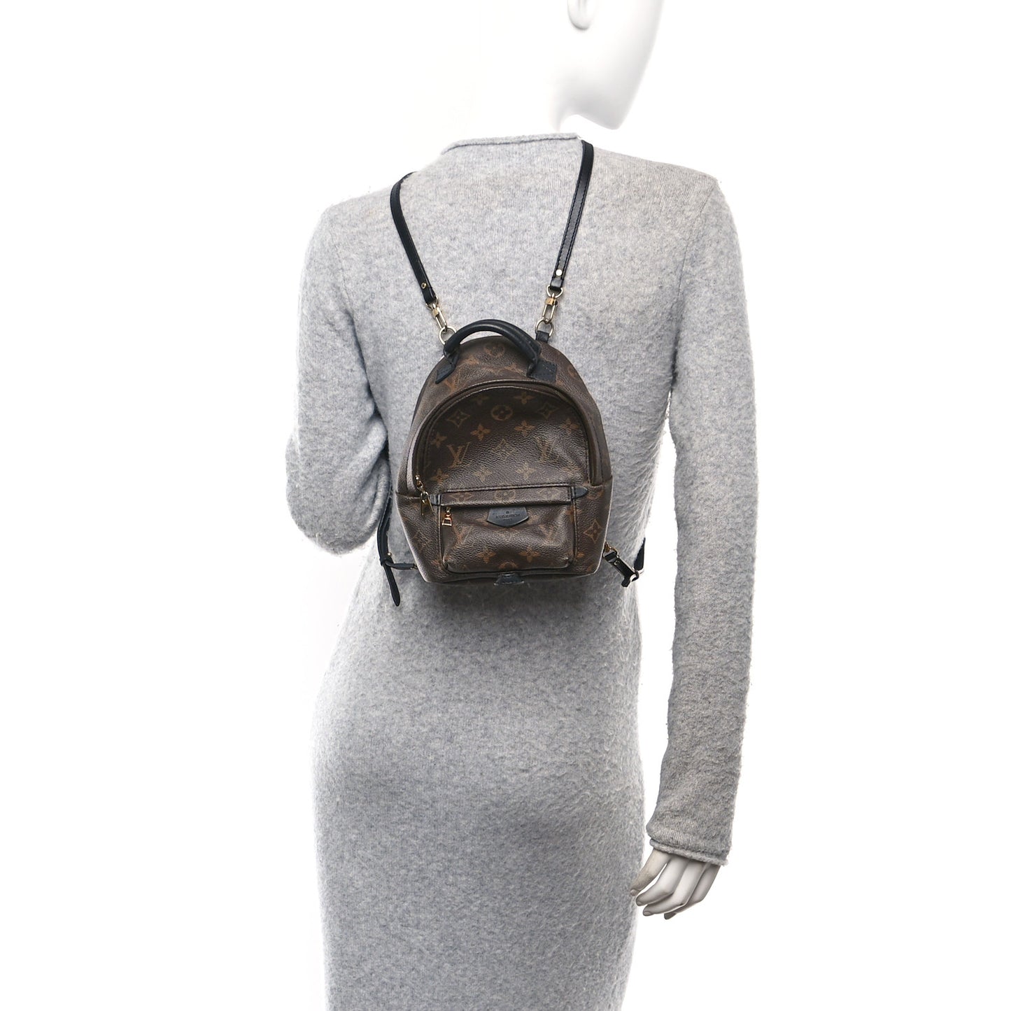 Monogram Palm Springs Backpack Mini