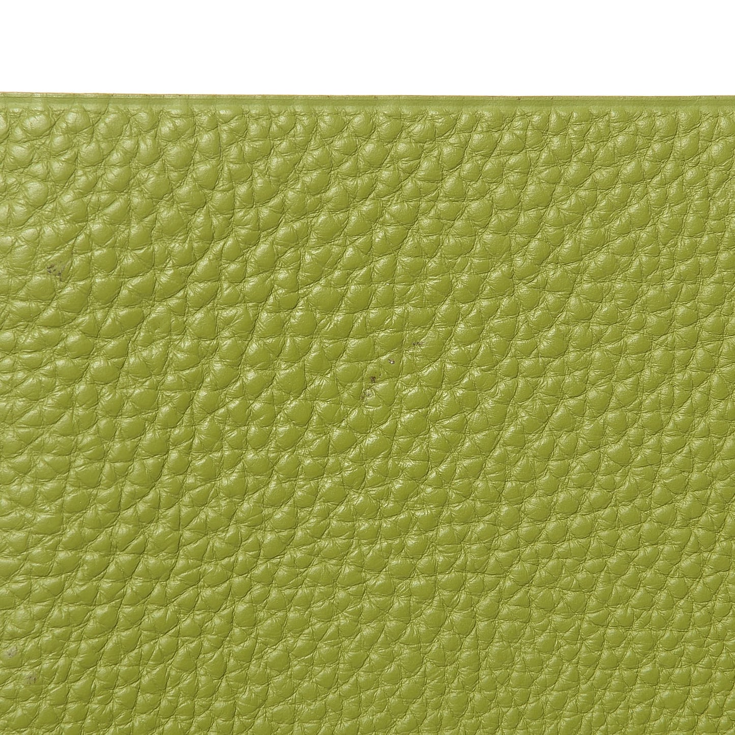 Togo Ulysse PM Notebook Vert Anis