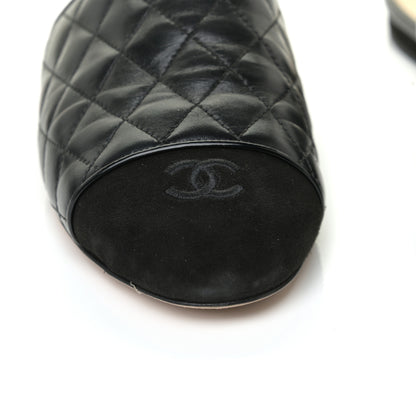 Chanel Lambskin Kid Suede Quilted Mules 40.5 Black 13 of 17