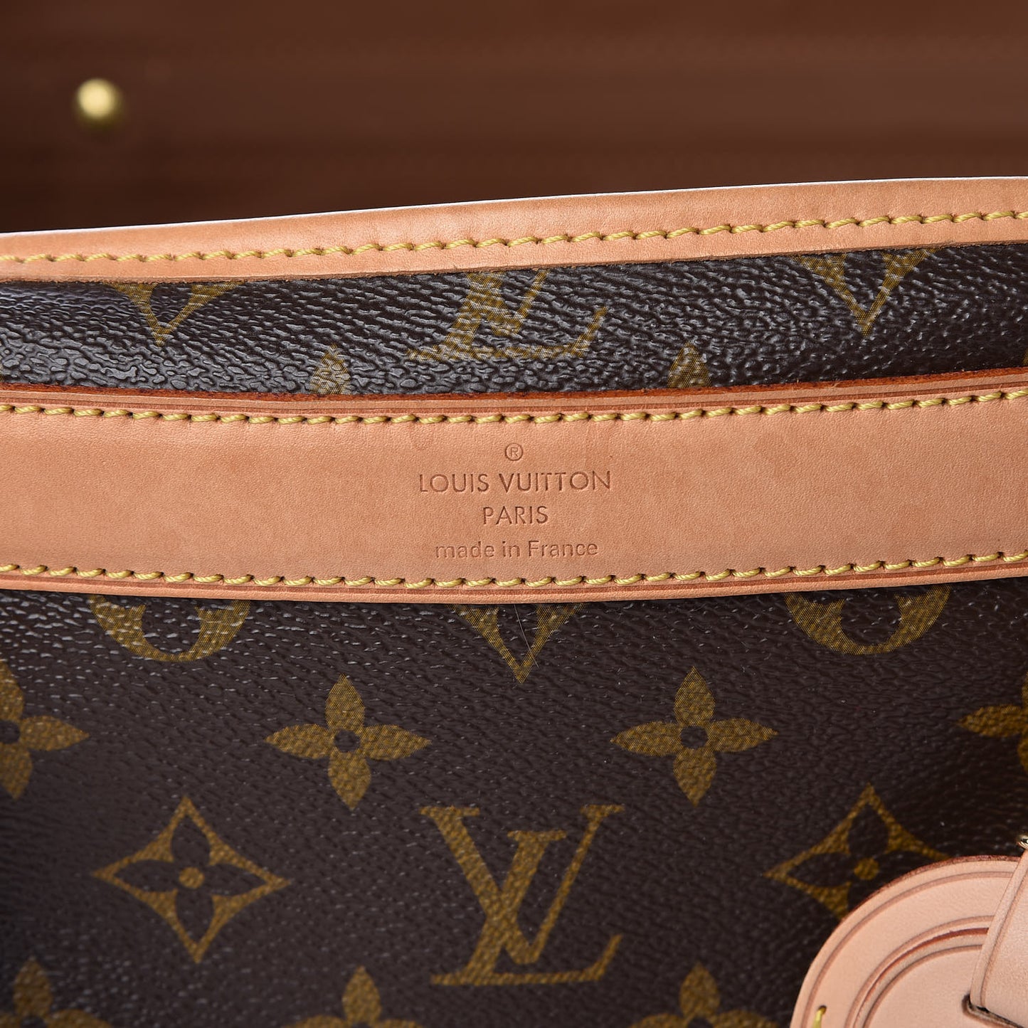 Monogram Sac Chien 40 Pet Carrier