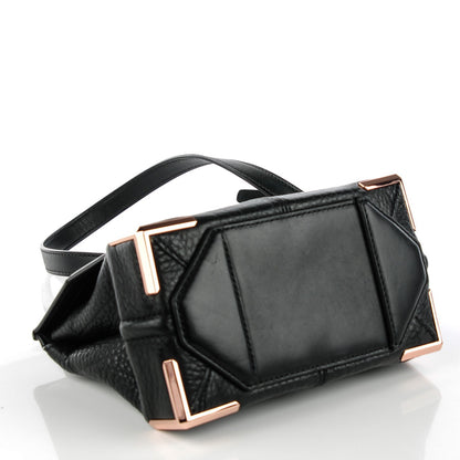 Alexander Wang Calfskin Small Marion Soft Black Rose Gold Hardware 4 of 6