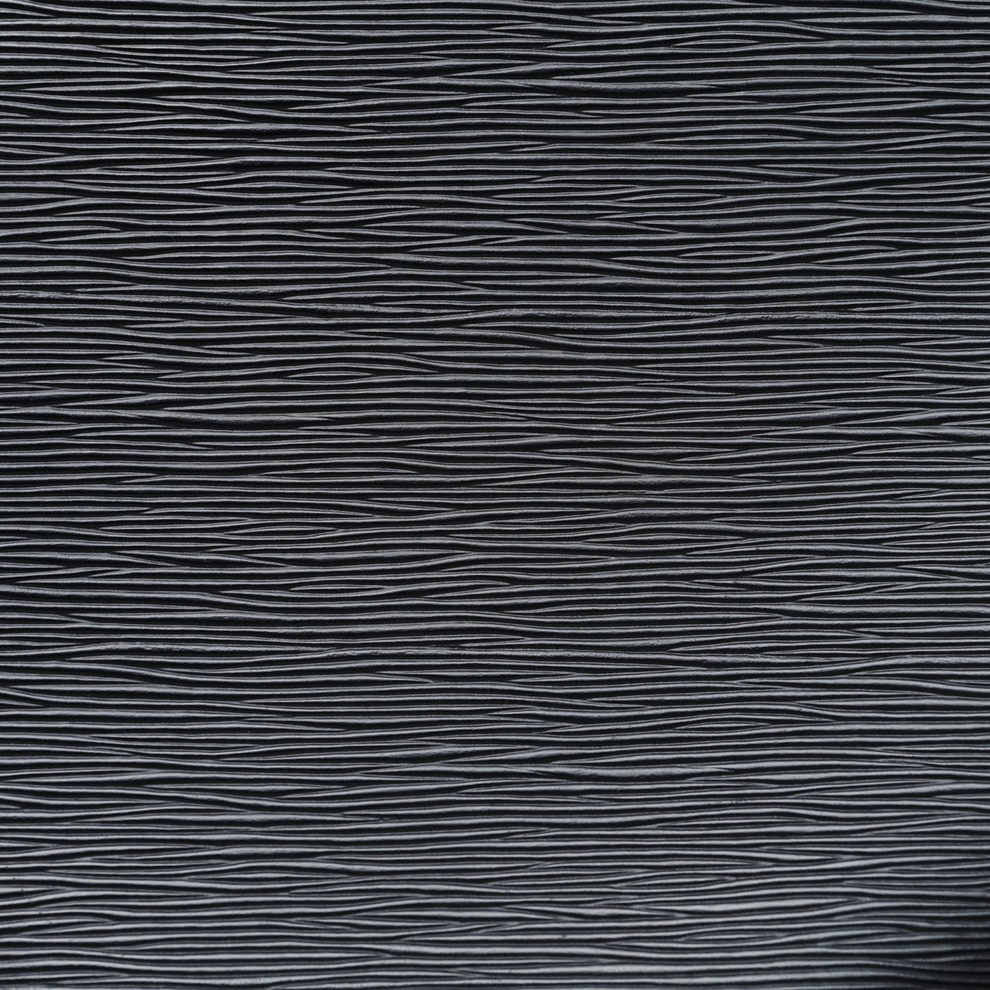 Epi Saint Jacques GM Black