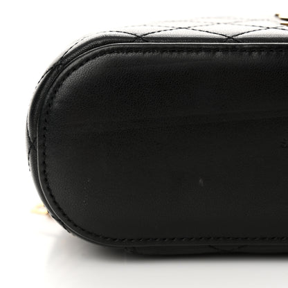 Saint Laurent Lambskin Quilted Mini Gaby Vanity Case Black 11 of 13