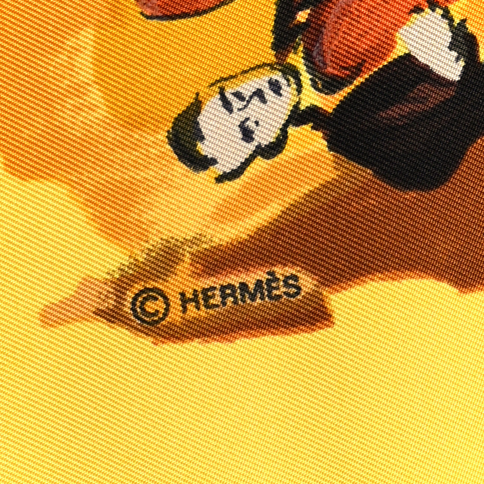 Hermes Silk Concerto Scarf 90 4 of 5