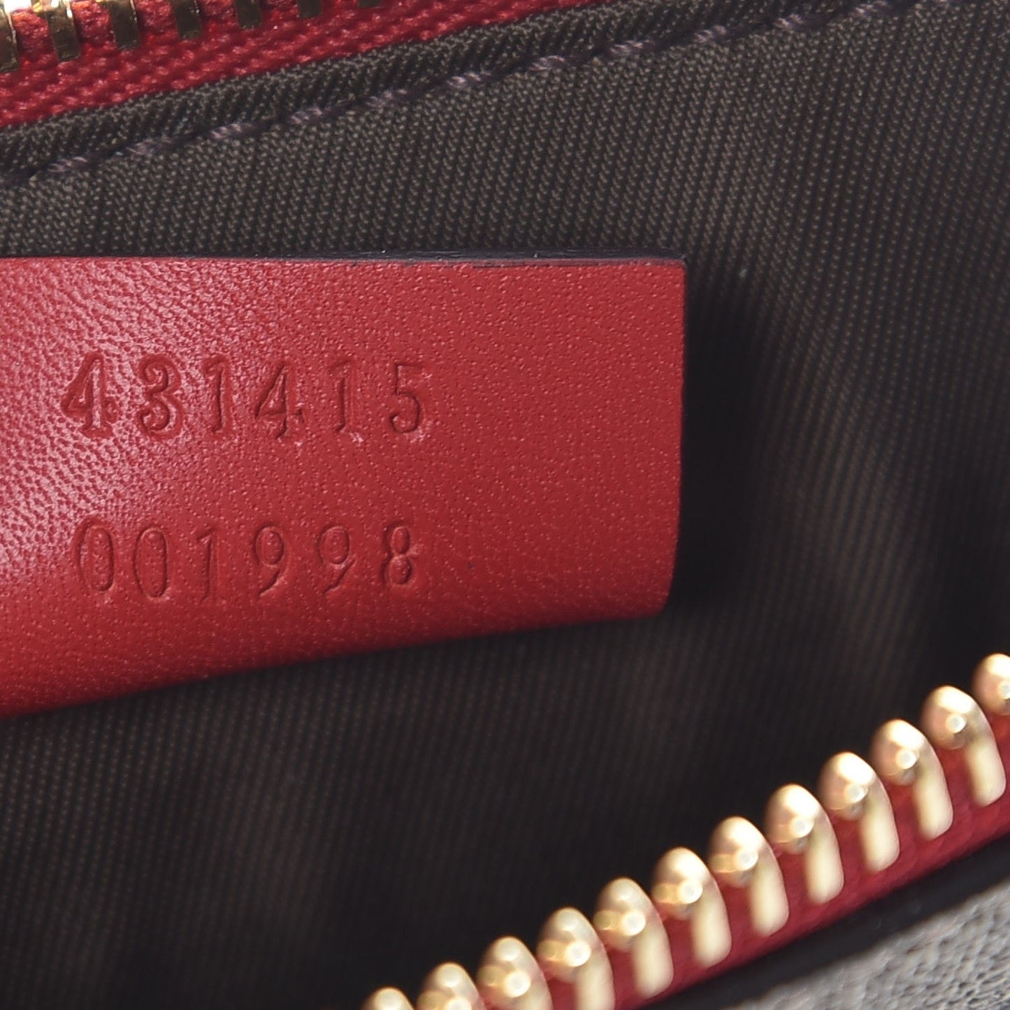 GG Supreme Monogram Merveilles Lips Zip Pouch Hibiscus Red
