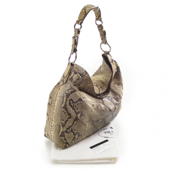 Python Logo Hobo Roccia