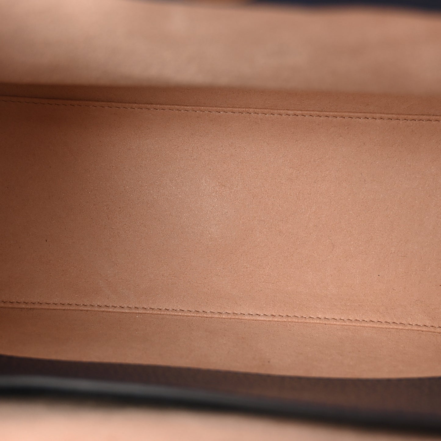 Textured Dollar Calfskin Web Small Diana Tote Bag Royal Crop