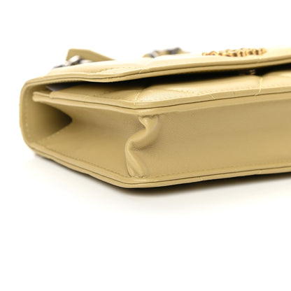 Chanel Lambskin Quilted Chanel 19 Wallet On Chain WOC Light Green 12 of 13