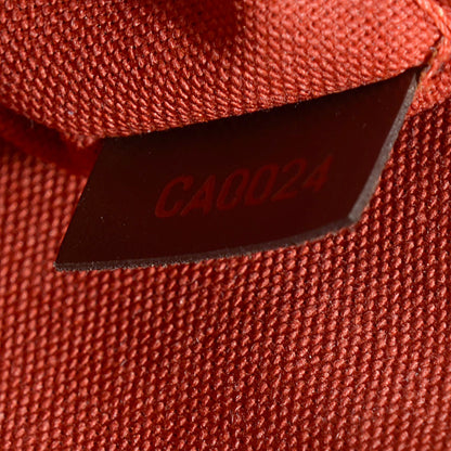 Louis Vuitton Damier Ebene Ribera Mini 7 of 7