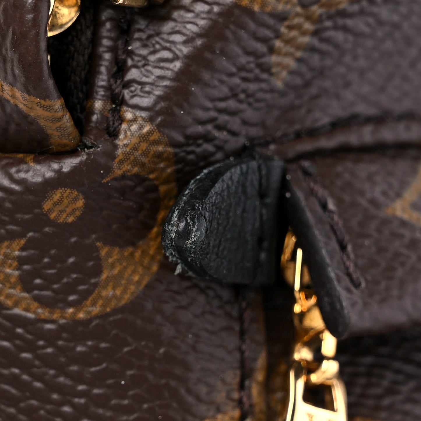Monogram Palm Springs Backpack Mini