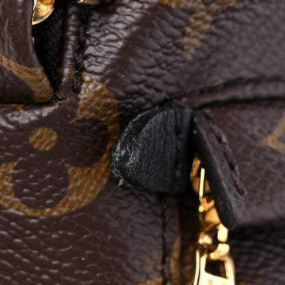 Louis Vuitton Monogram Palm Springs Backpack Mini 10 of 10