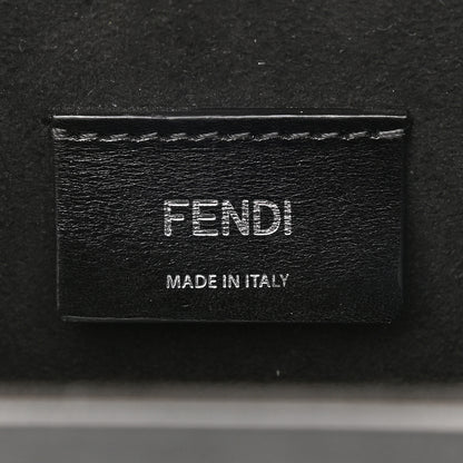 Fendi X SARAH COLEMAN Vitello Grace Light FF Vertigo Box Bag White Ice Multicolor 7 of 10