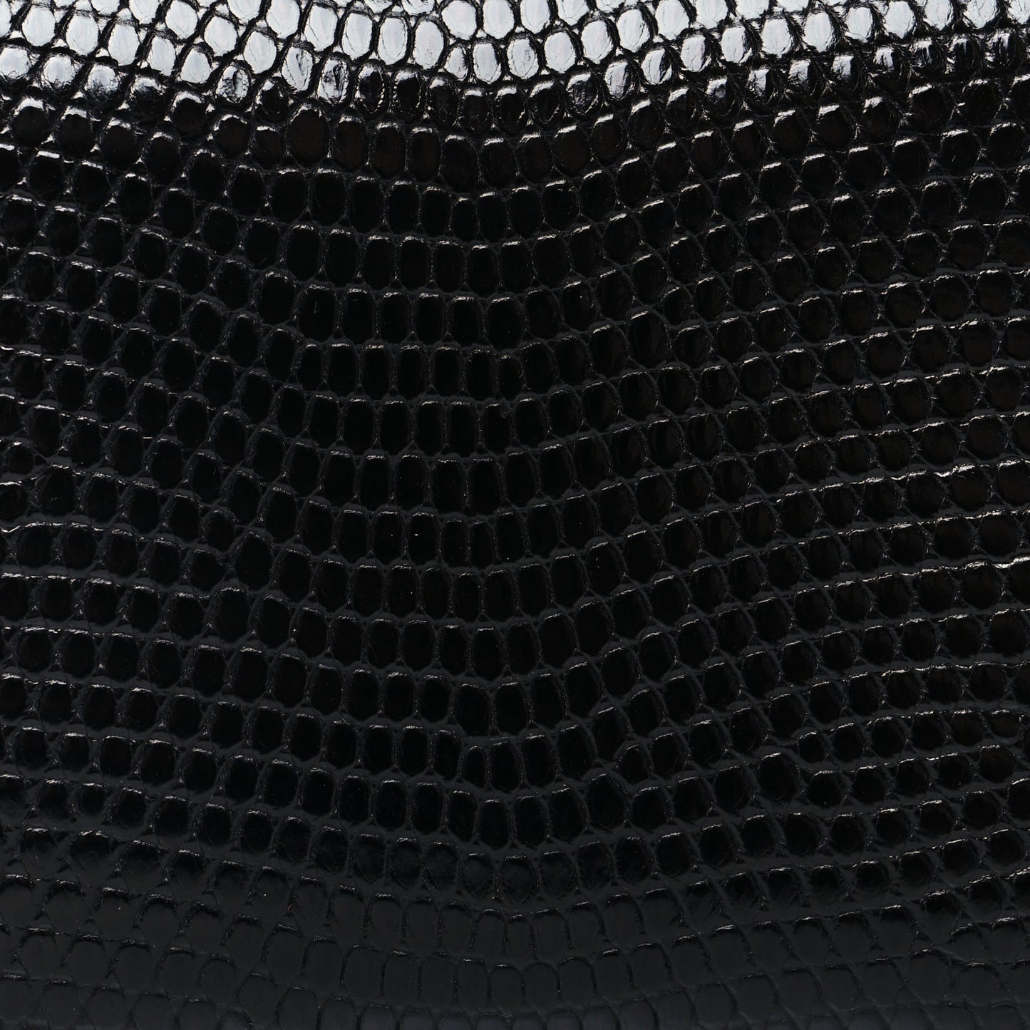 Lizard Calvi Card Case Black